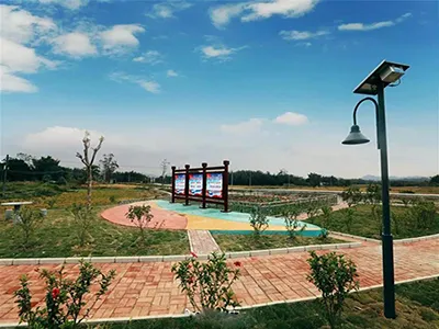 景区开云(中国)